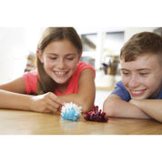 Crystal Growing Kit