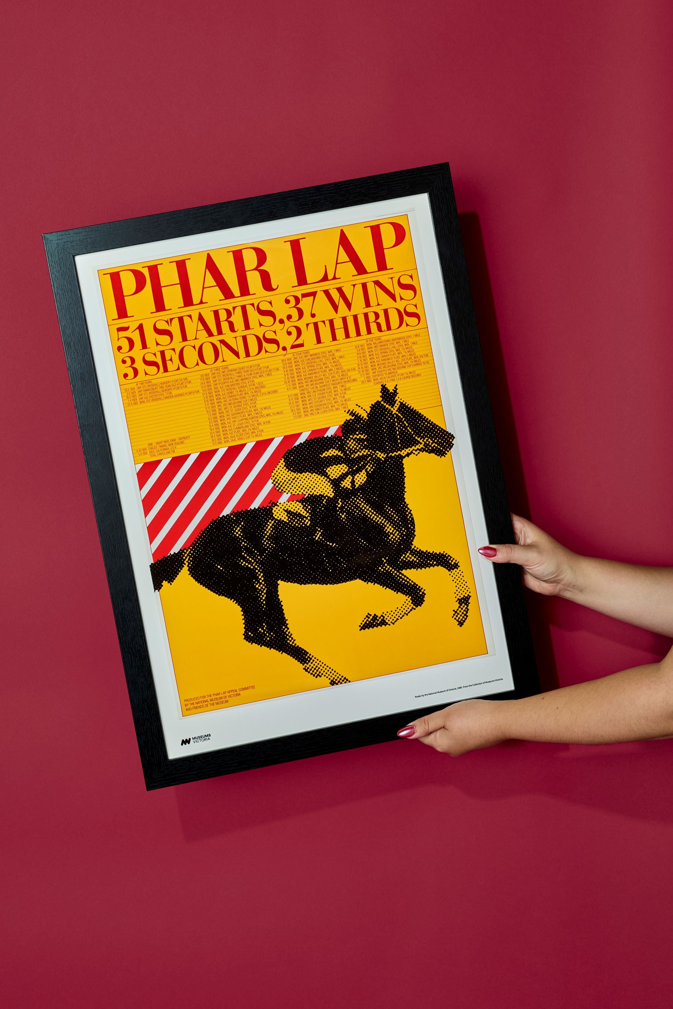 37 Wins Phar Lap Print - A2