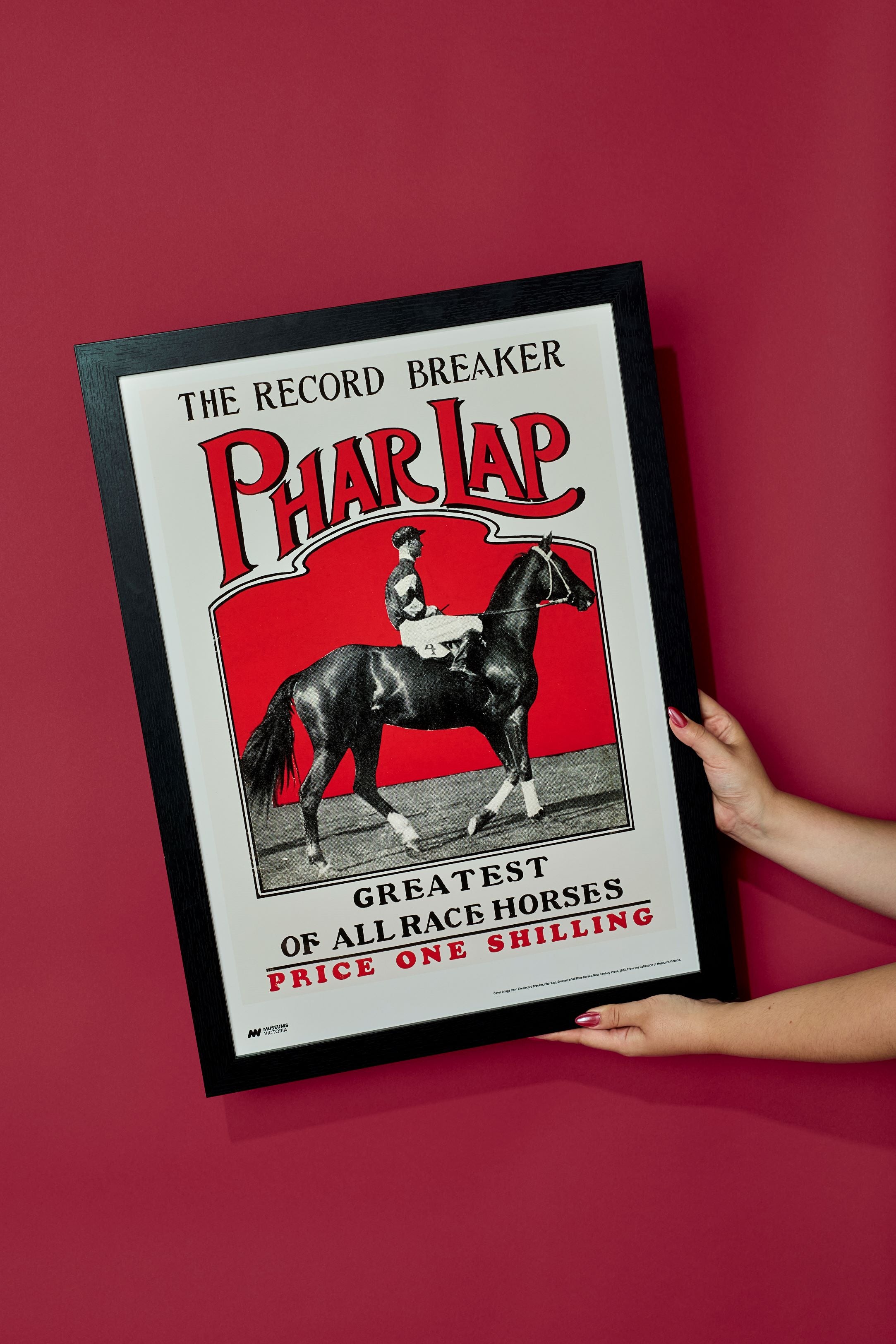 The Record Breaker Phar Lap Print - A2