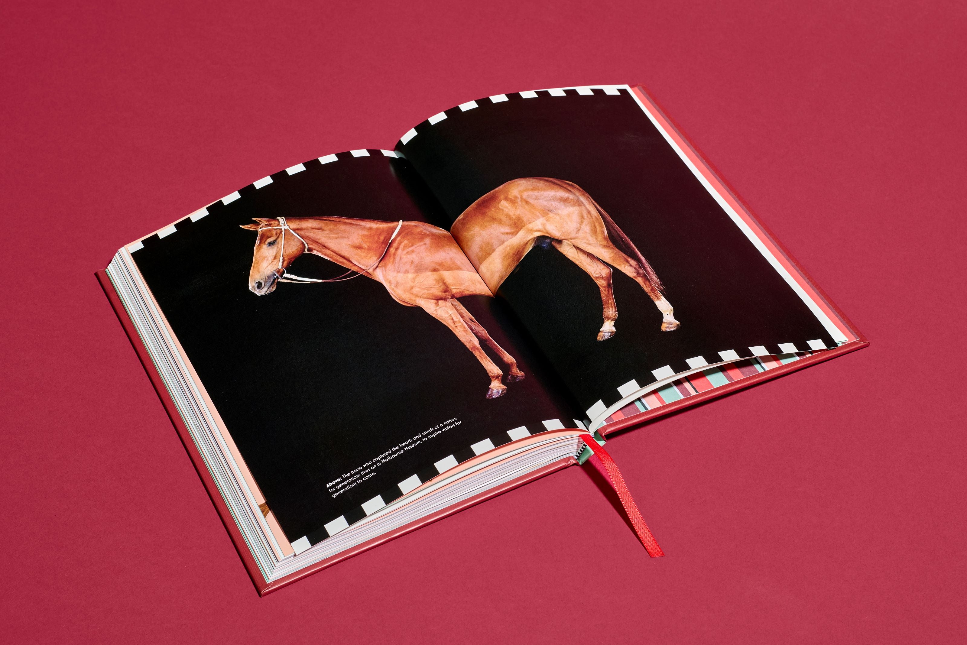 Phar Lap: A True Legend