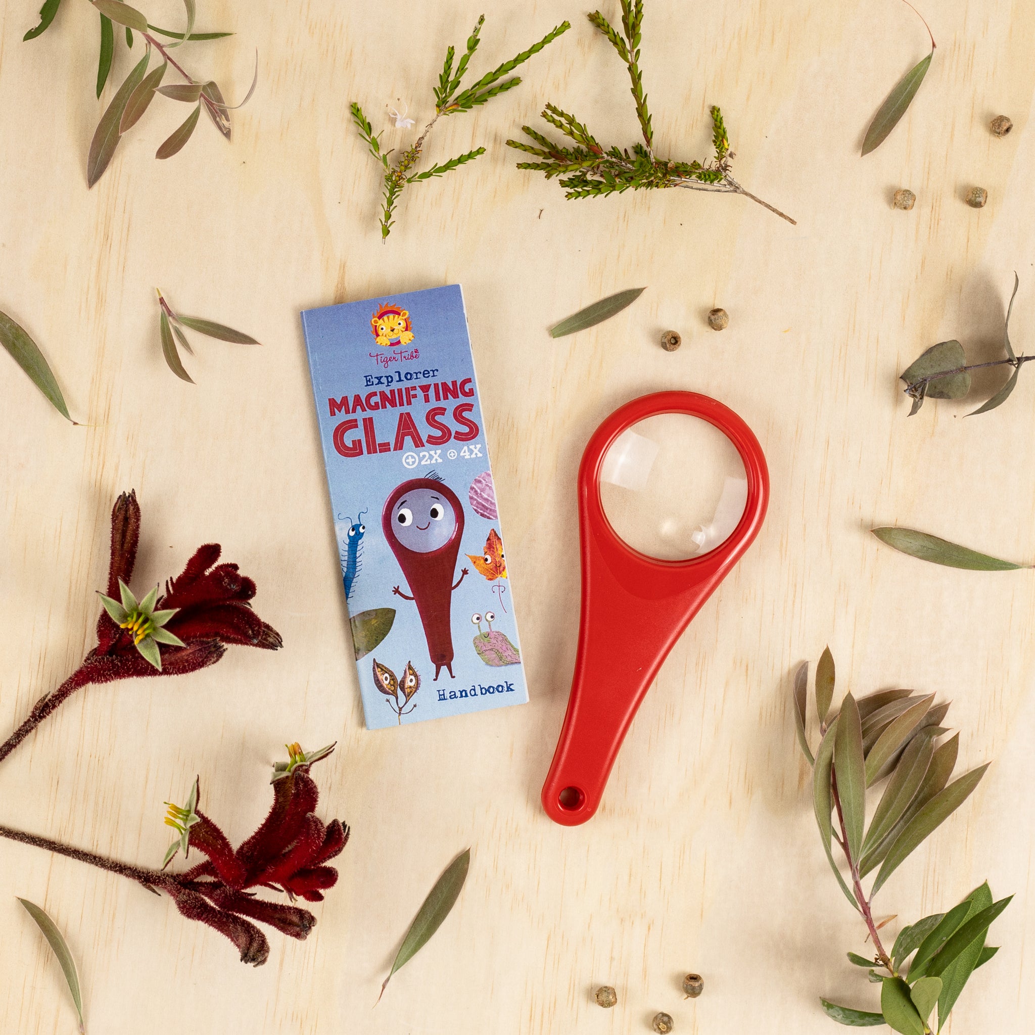Explorer Magnifying Glass – Museums Victoria Store