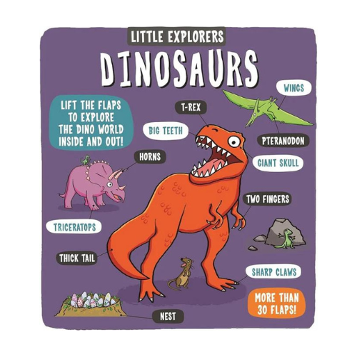 Little Explorers: Dinosaurs