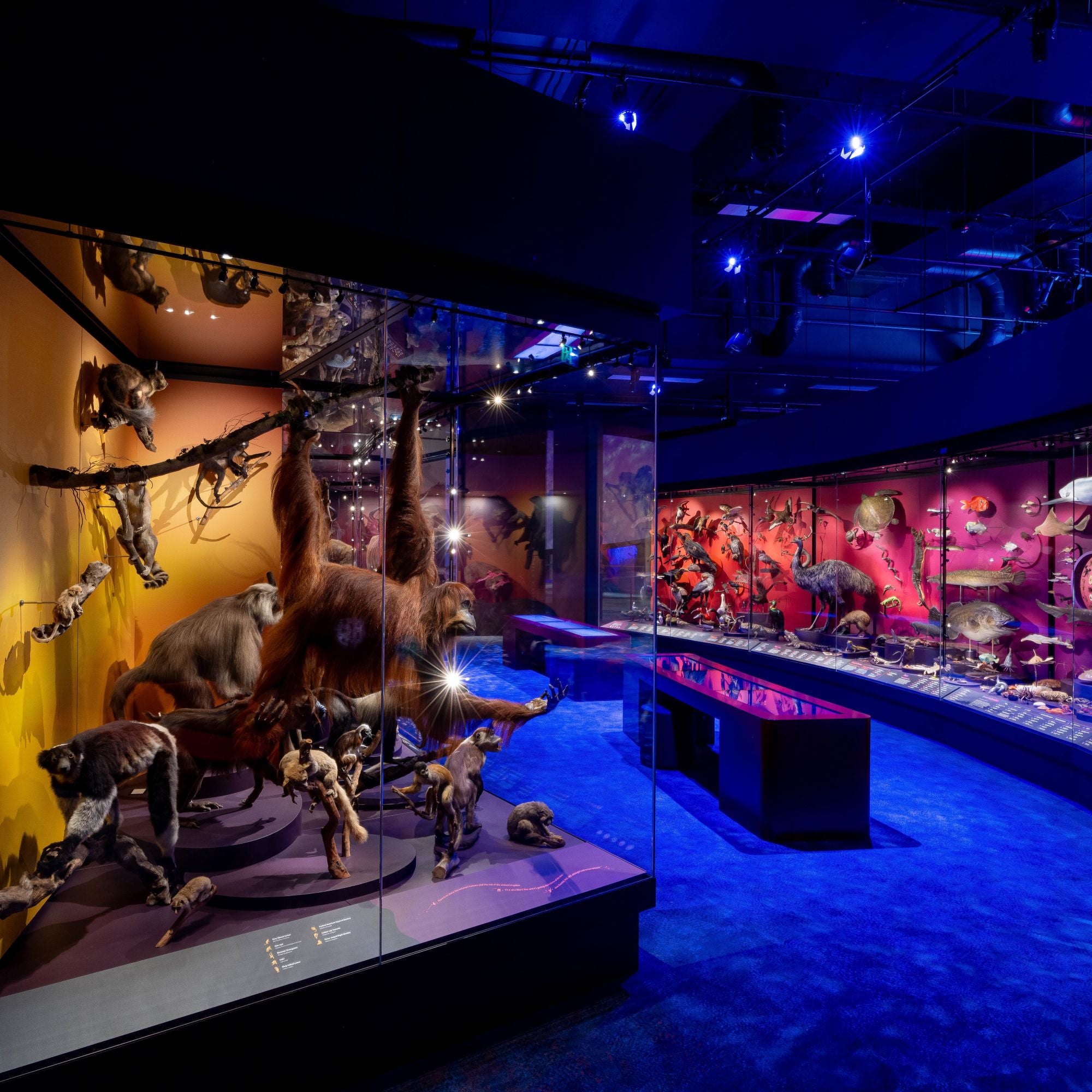 Museums_Victoria_-_Our_Wondrous_Planet-1.jpg