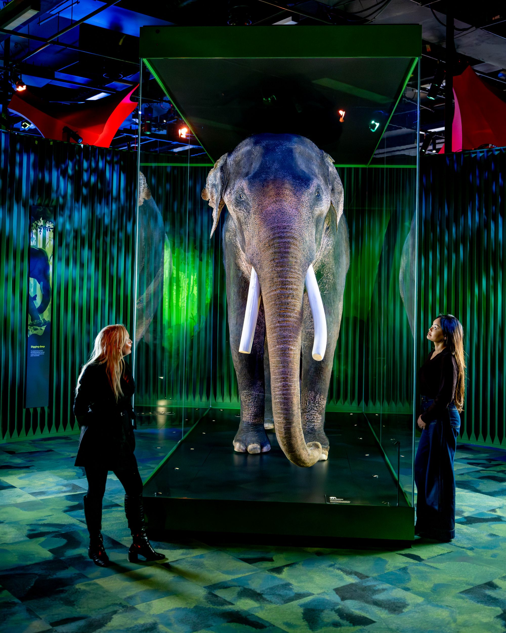 Museums_Victoria_-_Our_Wondrous_Planet-250.jpg