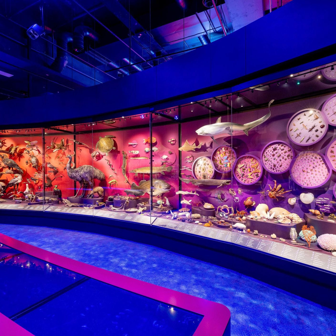 Museums_Victoria_-_Our_Wondrous_Planet-3.jpg