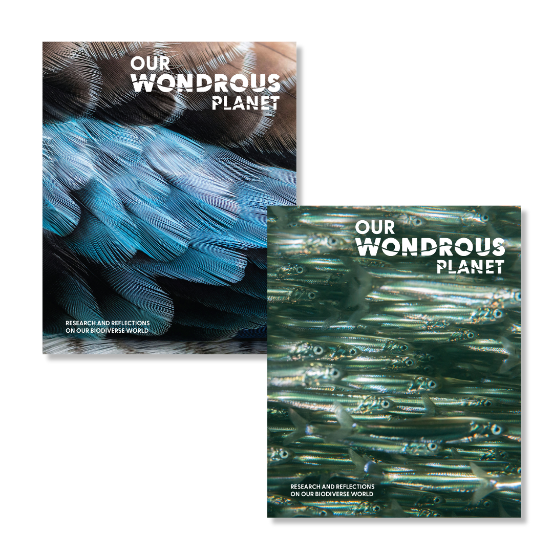 Our Wondrous Planet: Research and Reflections on Our Biodiverse World