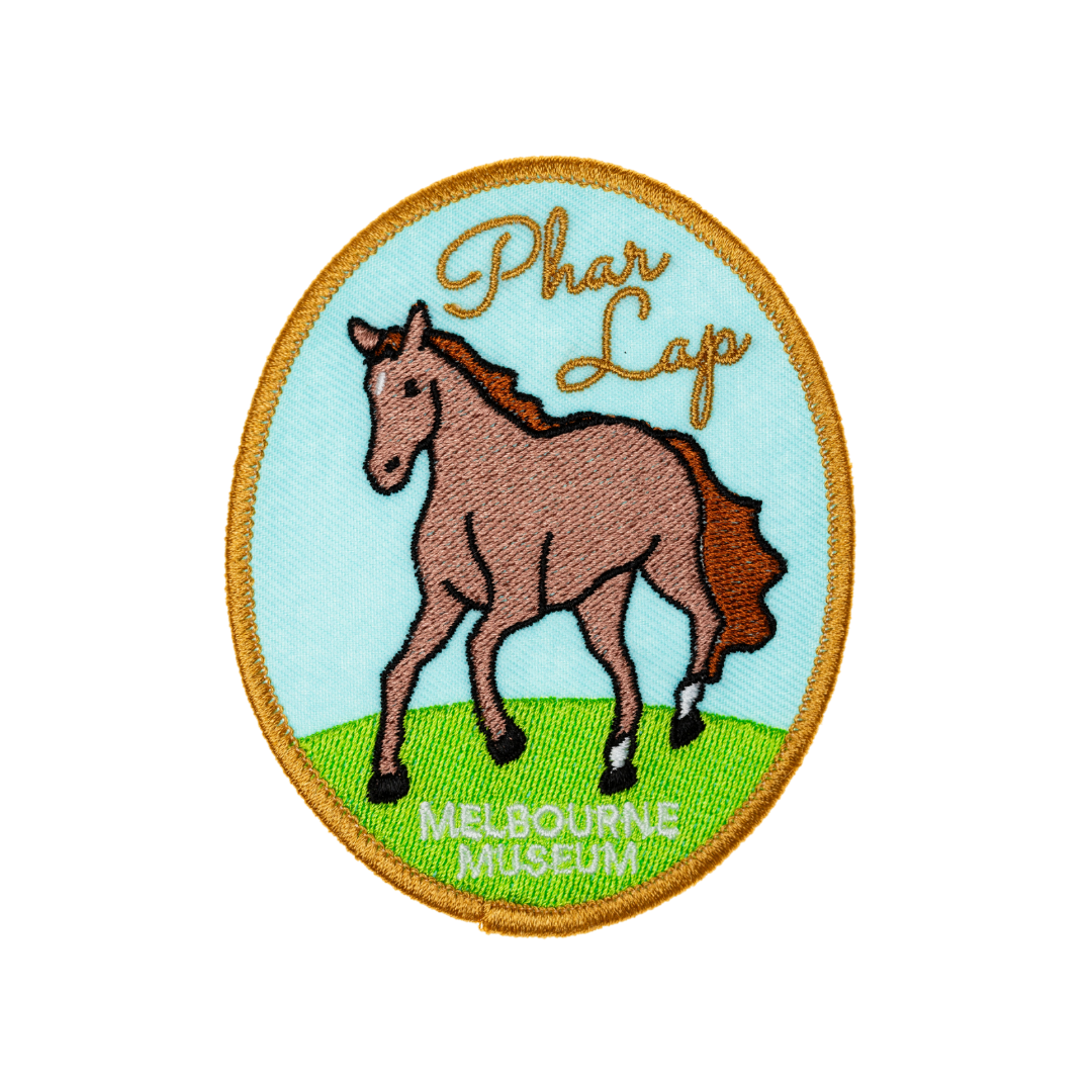 Museum Icons Patches