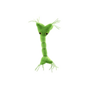 Nerve Cell Microbe Plush
