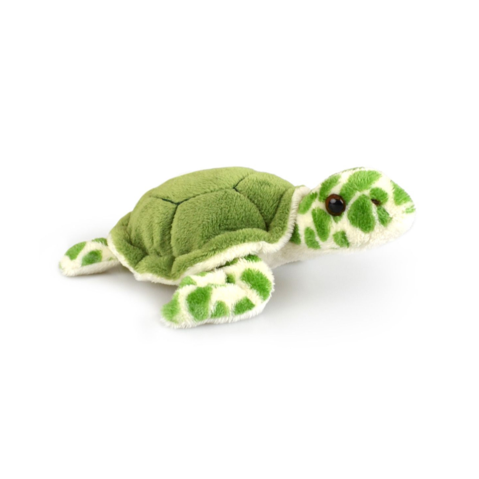 Green plush turtle toy on a white background
