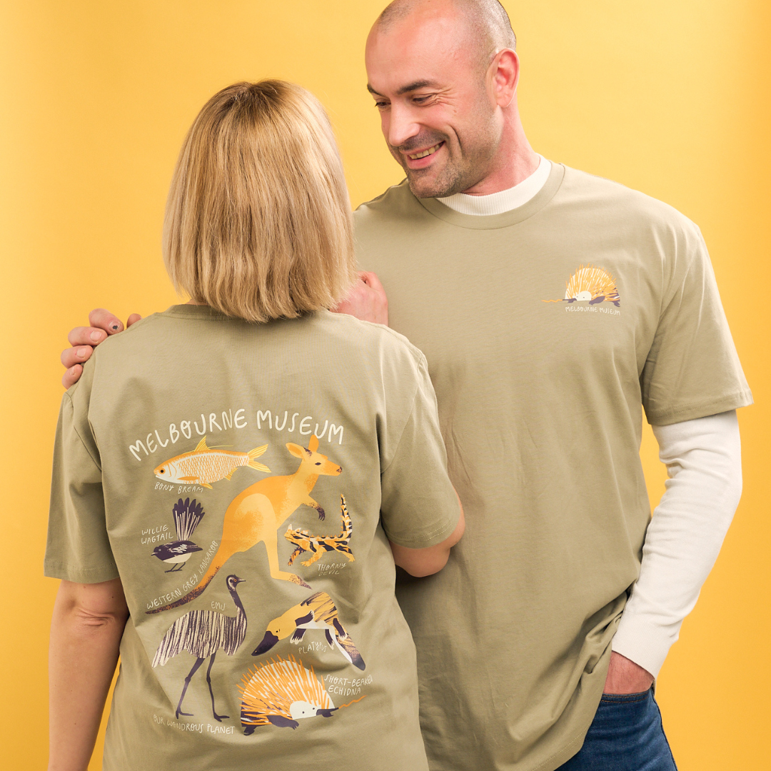 OL_WEB_IMAGES_25_-_26_26.png