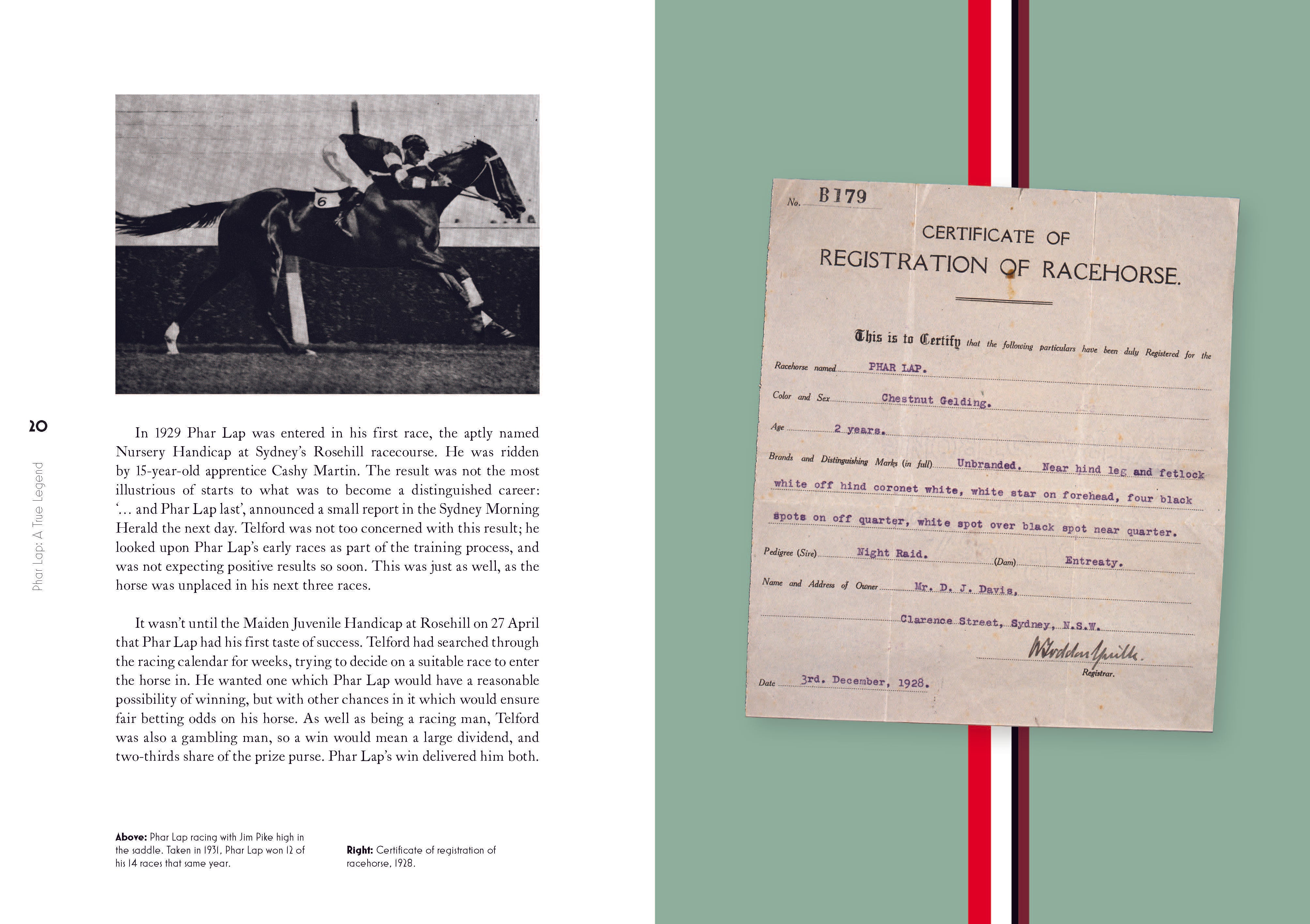 Phar Lap: A True Legend