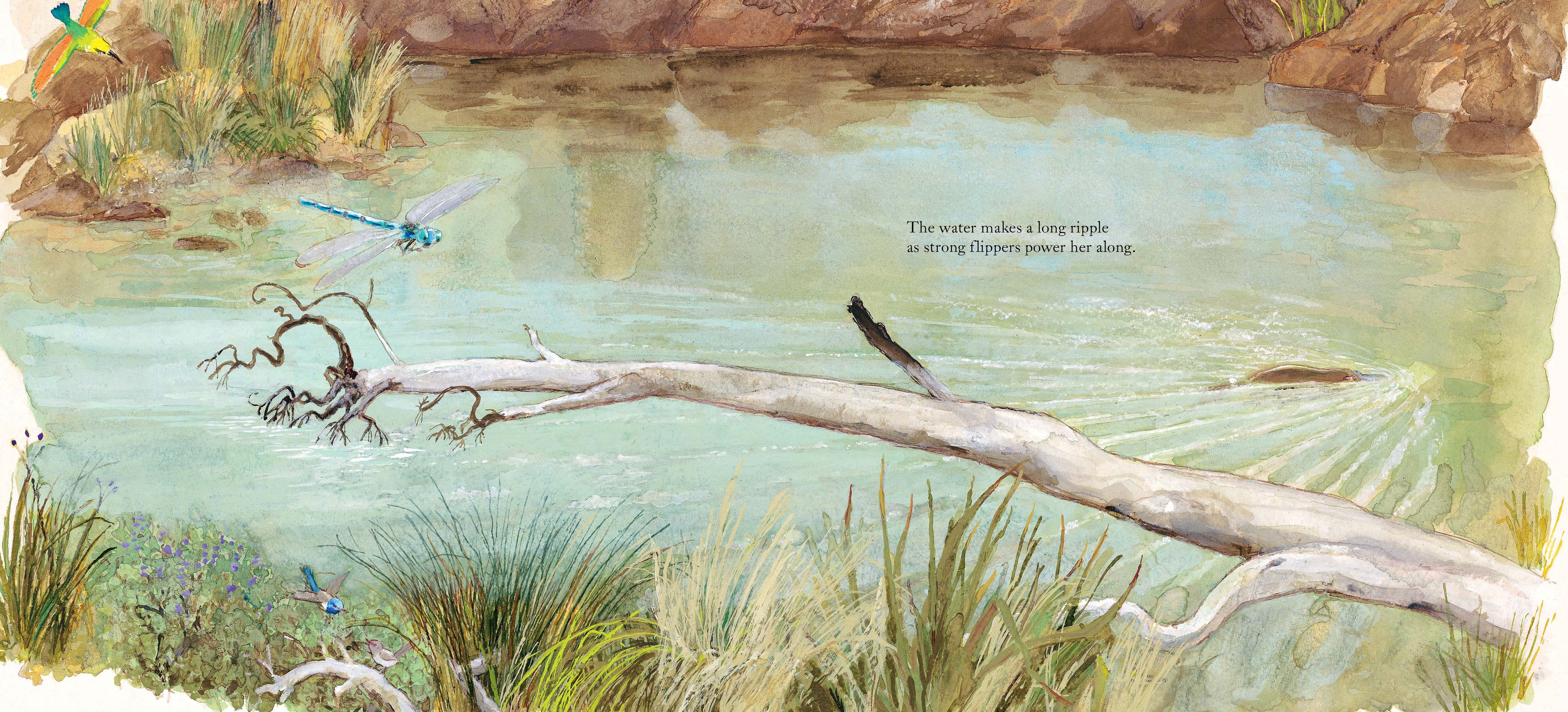 Platypus Bend