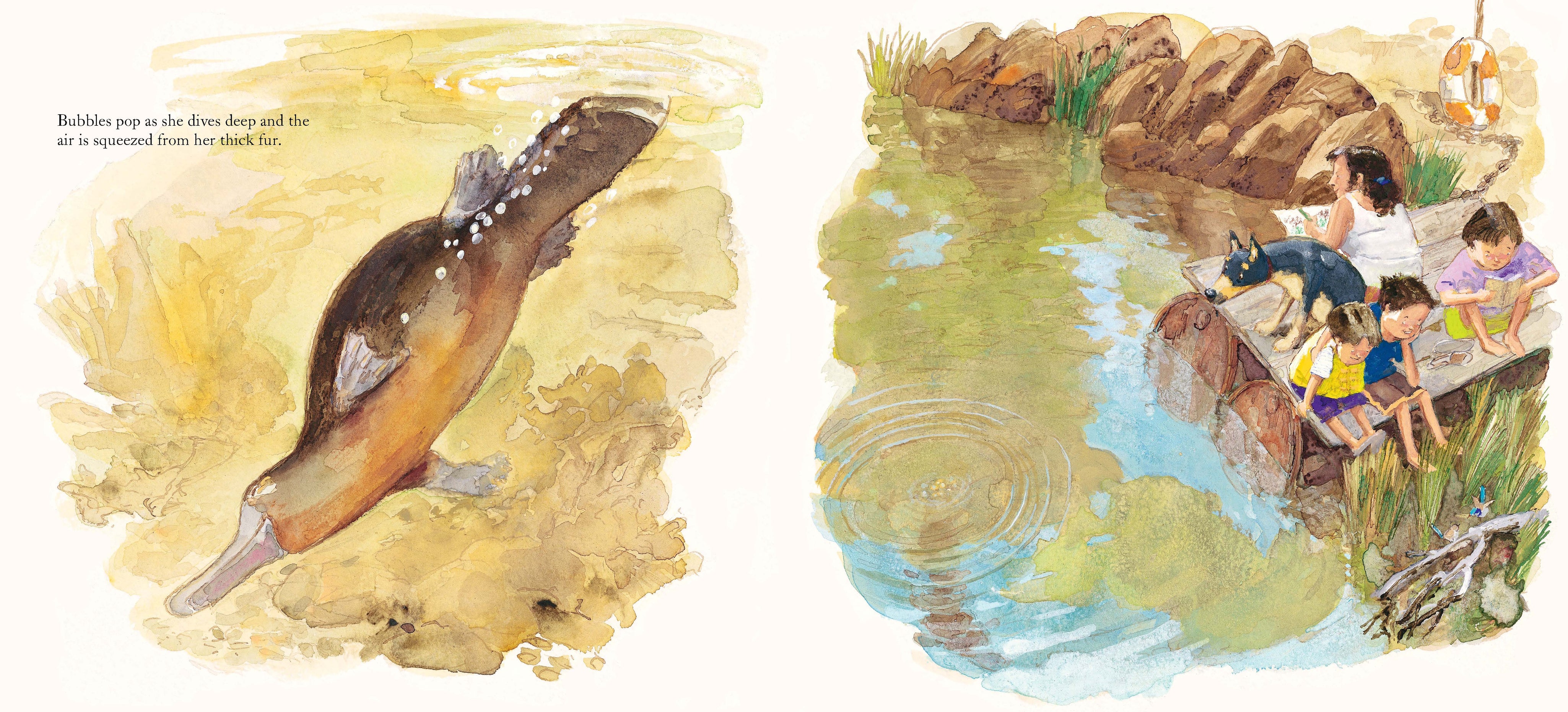 Platypus Bend