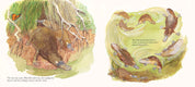 Platypus Bend