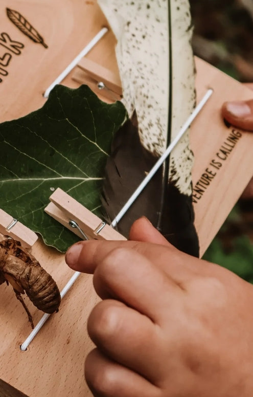 Nature Board