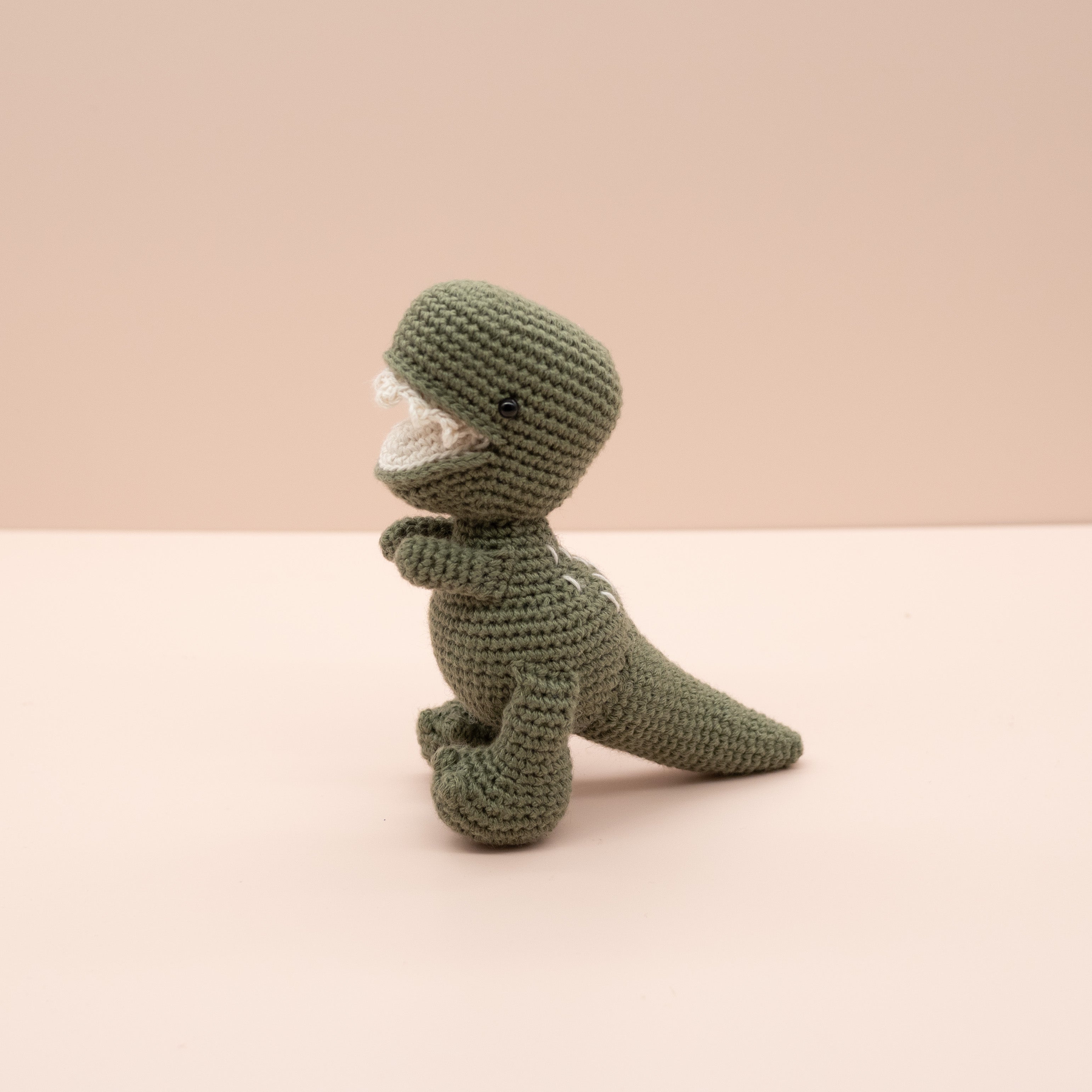 TRex_V2_9_1.jpg