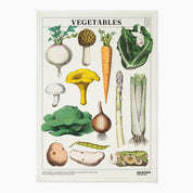 Museum Victoria Rare Book Tea Towels