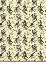 The Museum Unwrapped: Birds of Australia