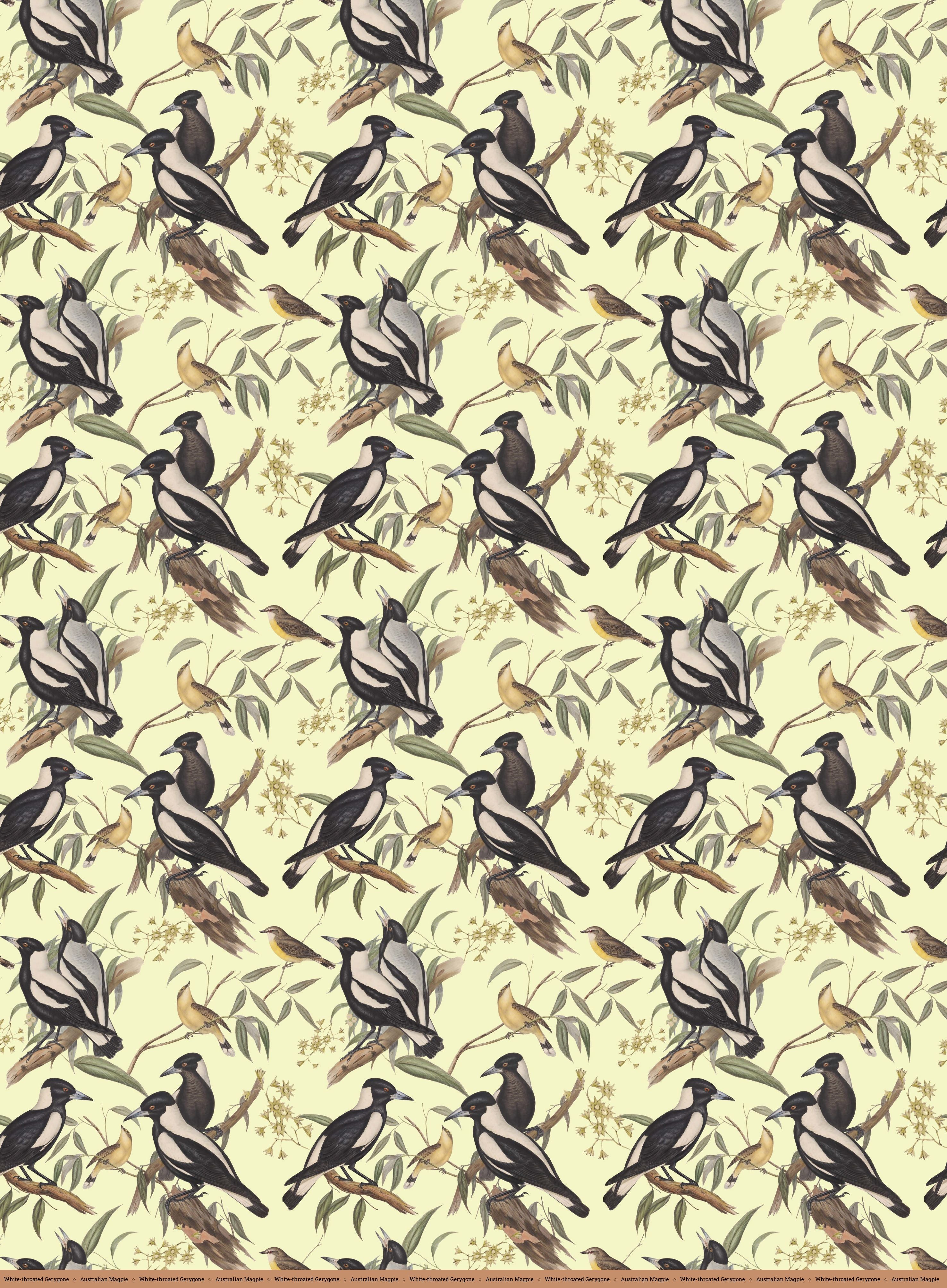 The Museum Unwrapped: Birds of Australia