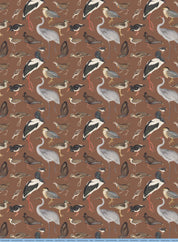 The Museum Unwrapped: Birds of Australia
