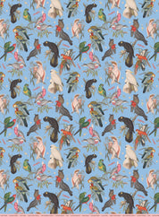 The Museum Unwrapped: Birds of Australia