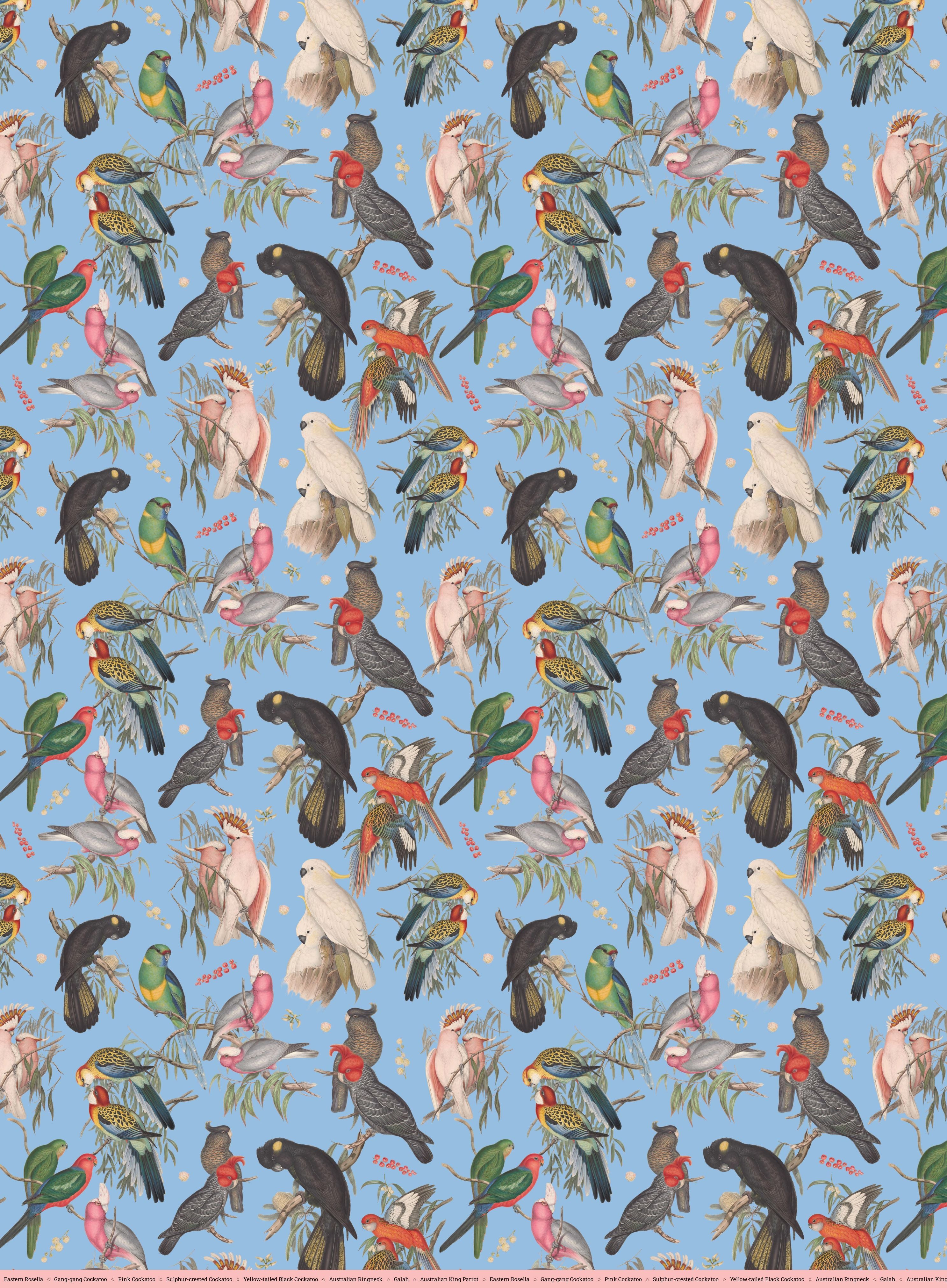 The Museum Unwrapped: Birds of Australia