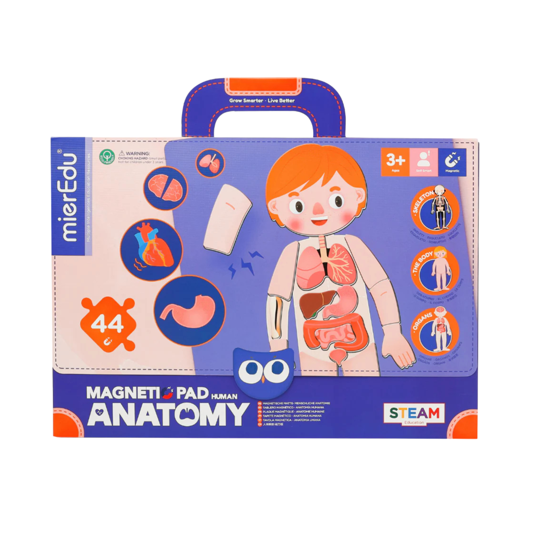 Magnetic Pad - Human Anatomy