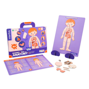 Magnetic Pad - Human Anatomy