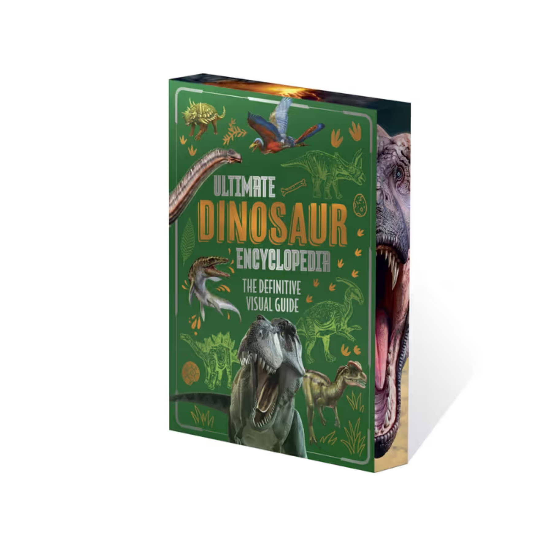 Ultimate Dinosaur Encyclopedia