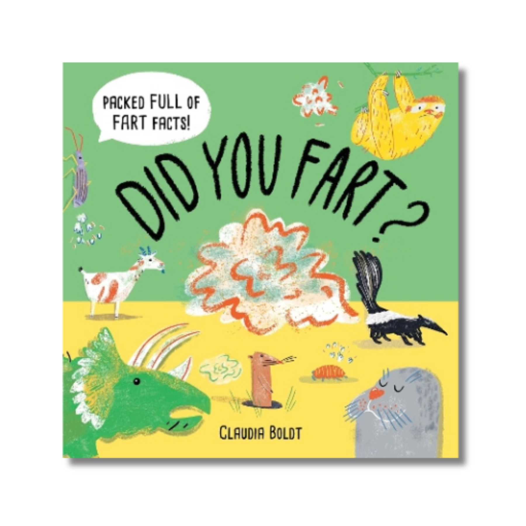 Did You Fart