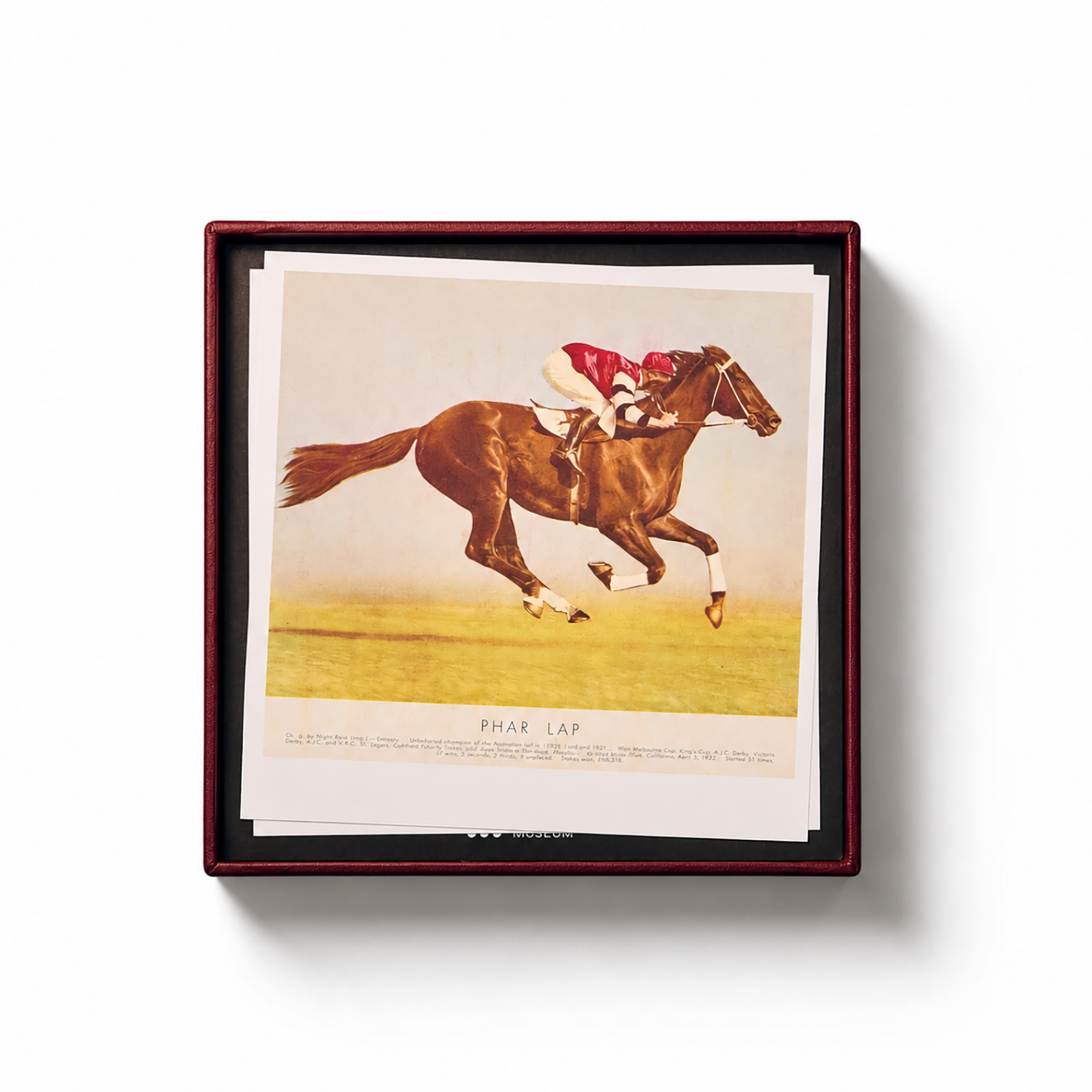 Phar Lap Limited Edition Bronze-Cast Horseshoe