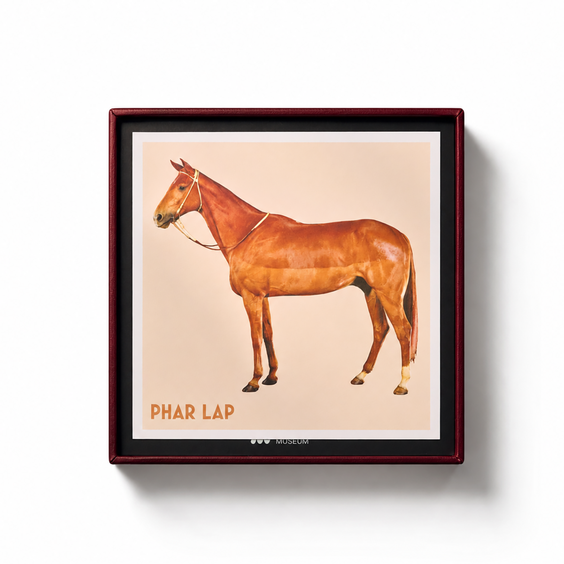 Phar Lap Limited Edition Bronze-Cast Horseshoe