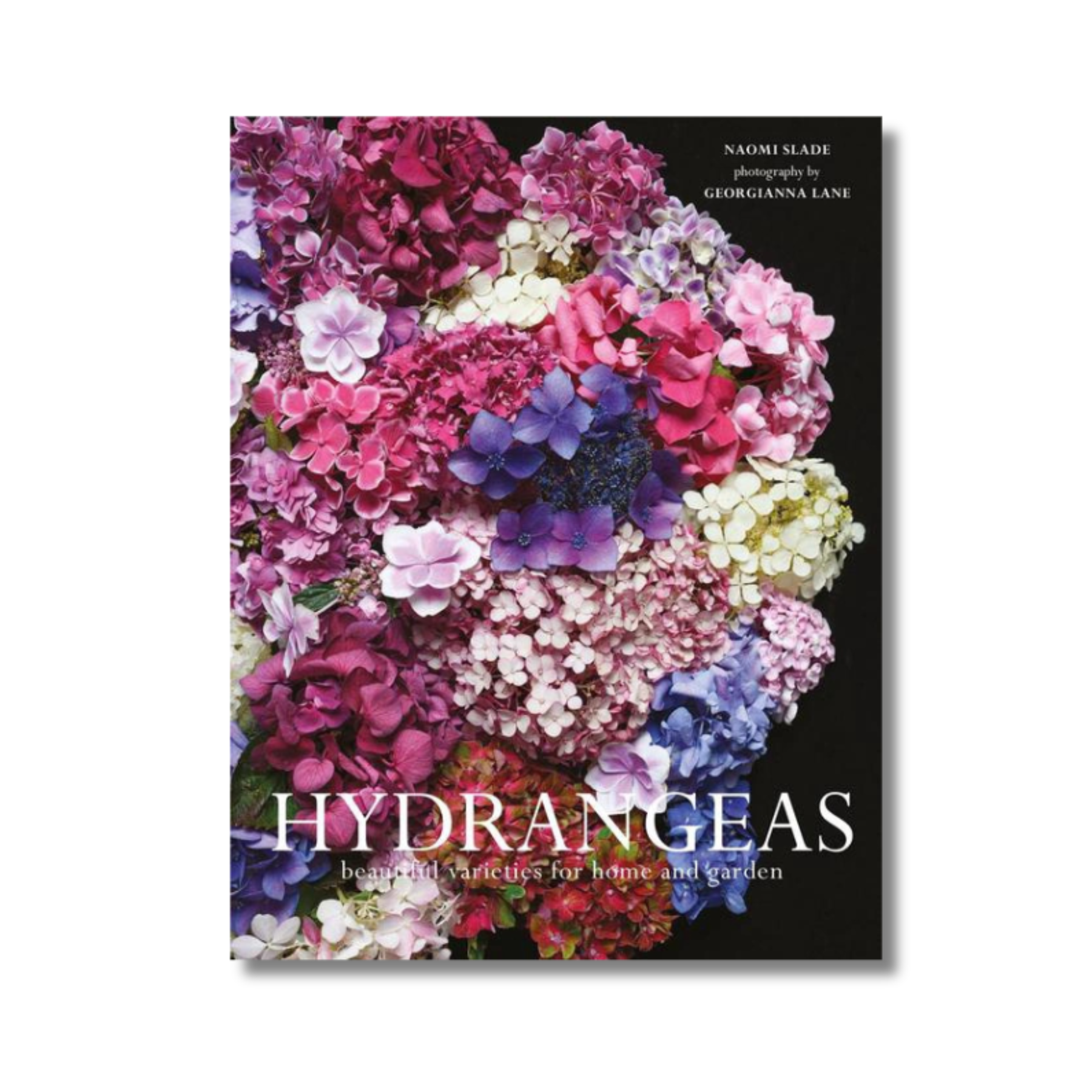 Hydrangeas