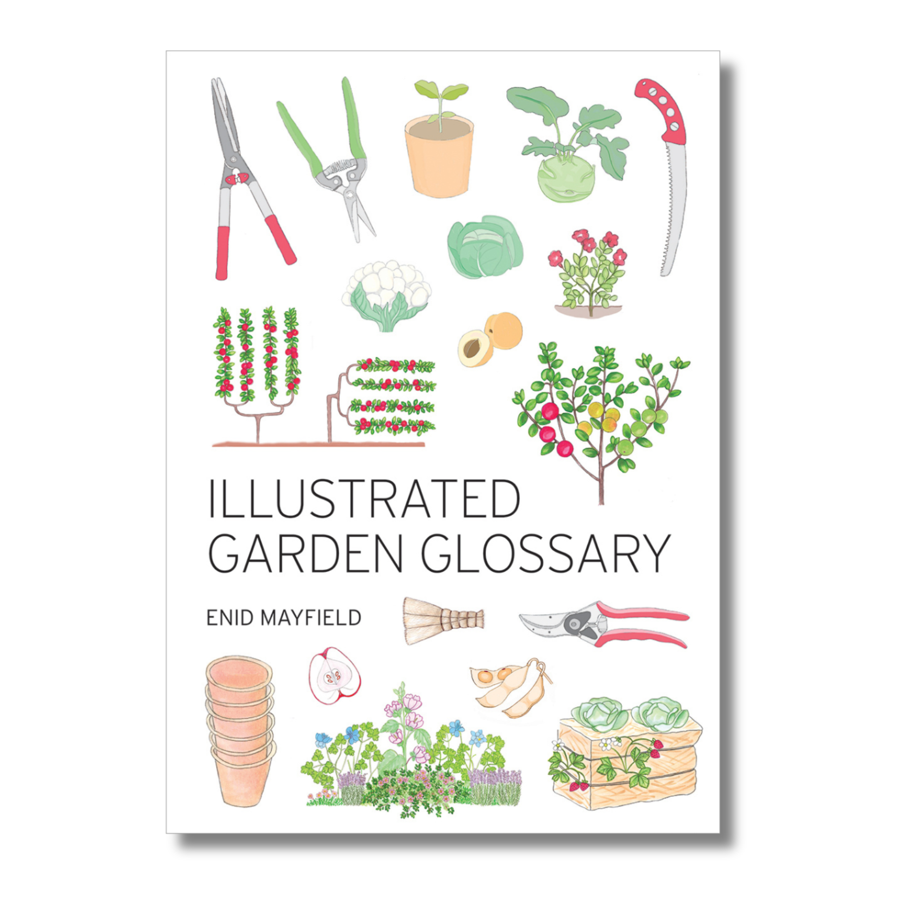 Illustrated Garden Glossary
