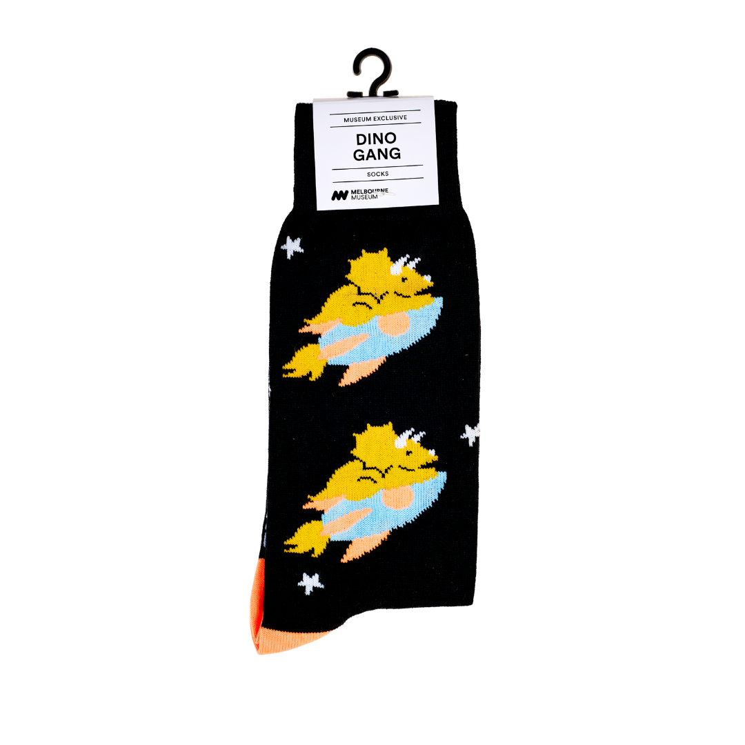 Triceratops in Space Socks
