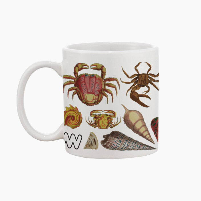 Museums Victoria Rare Book Mugs