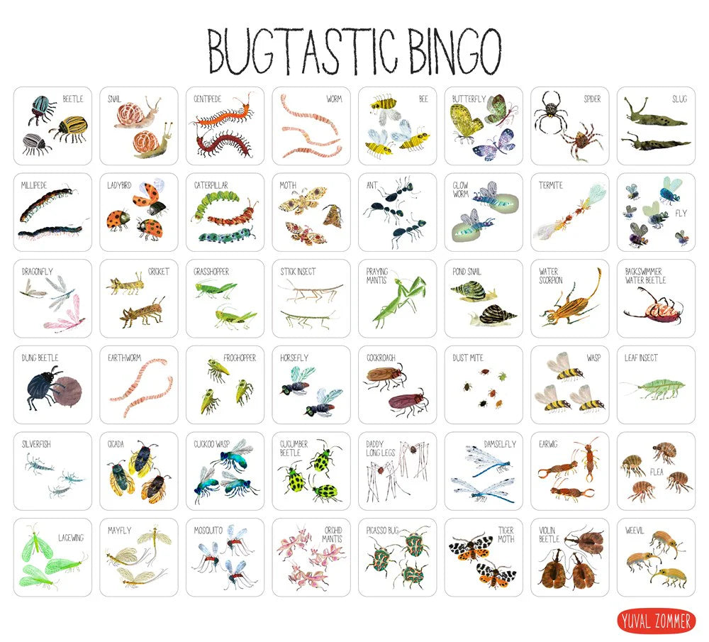 bugtasticbingo3.webp