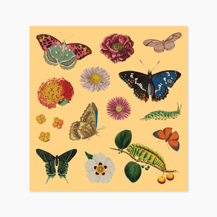 Rare Book Sticker Set – Museums Victoria Store