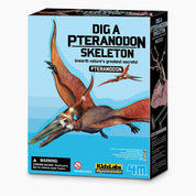 Dig a Pteranodon Skeleton