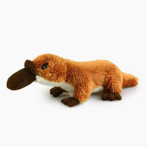 kor_fr_lilfriends_sm_platypus_4-249-SQ_55f6e601-8a76-4dfa-9ced-6138c475c279.jpg