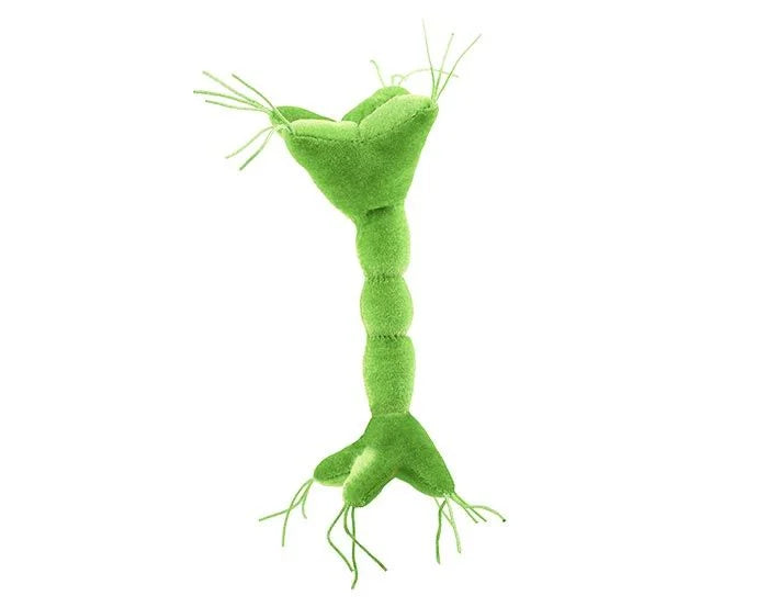 Nerve Cell Microbe Plush