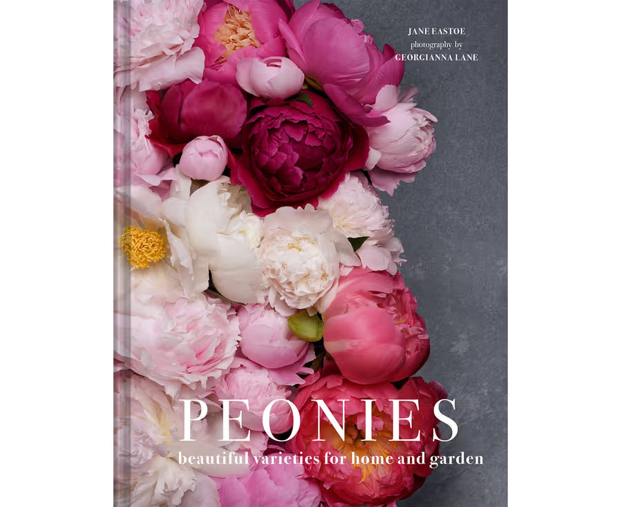 Peonies