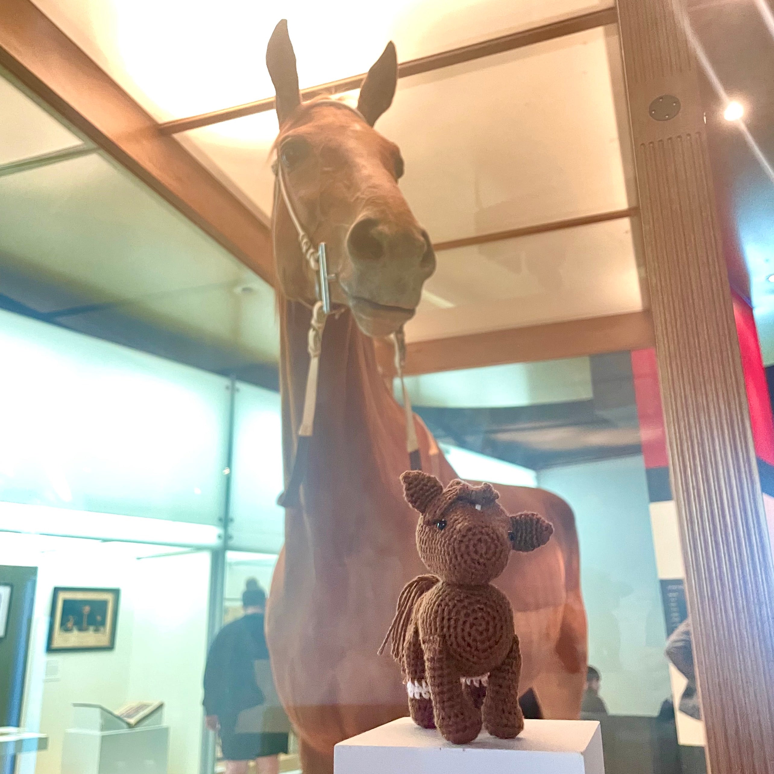 Crochet Your Own Phar Lap
