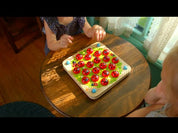 Ladybug's Garden Wooden Interactive Memory Game