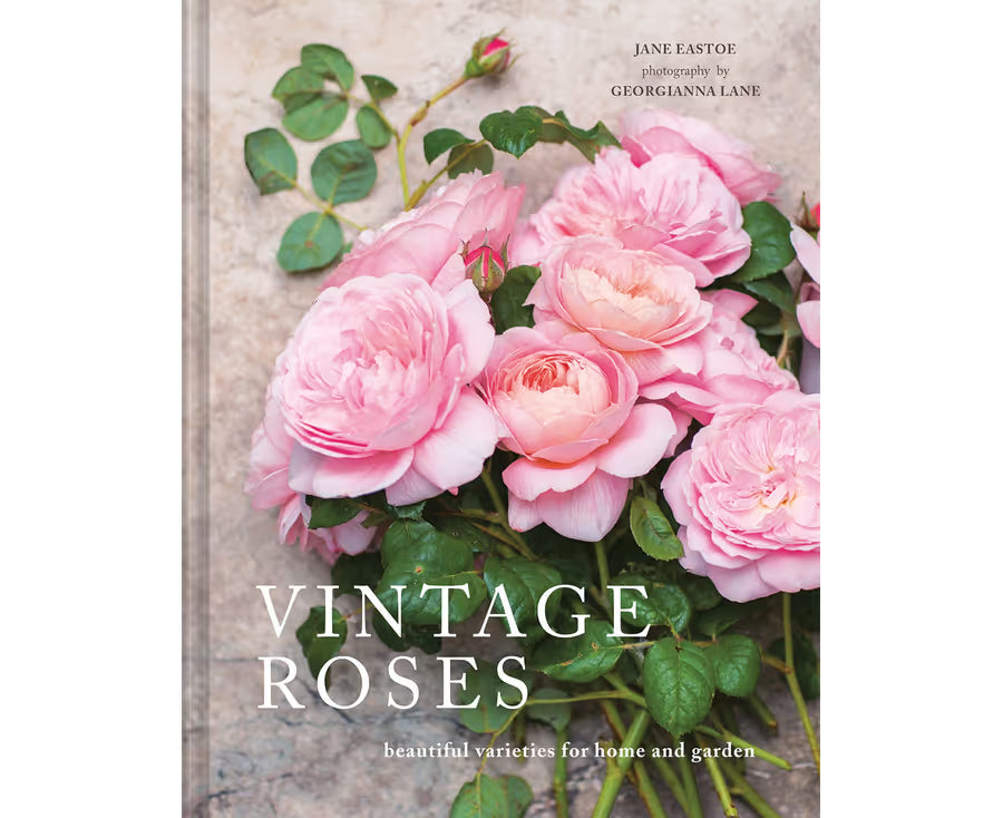 Vintage Roses