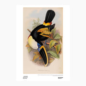 Melbourne Museum Rare Book Print - A4