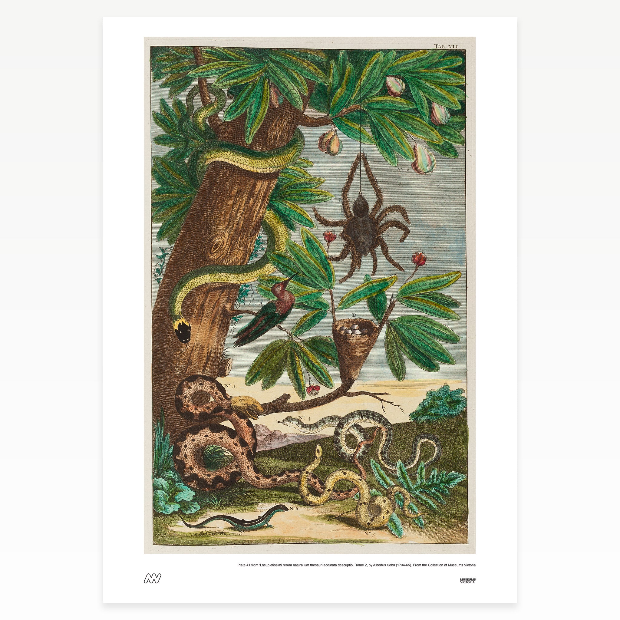 Fruit Tree and Animals Rare Book Print - A2