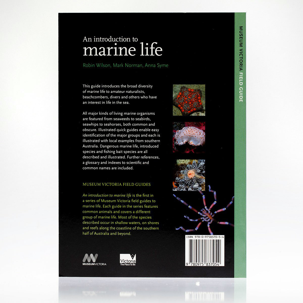 An Introduction to Marine Life
