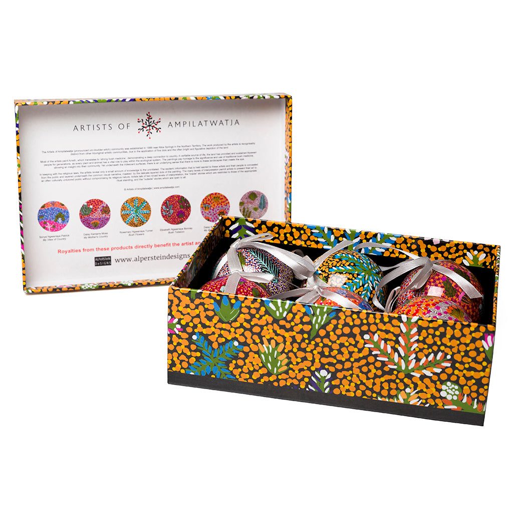 ArtistsofAmpilatwatjaDecorationsSetof6-boxopen.jpg
