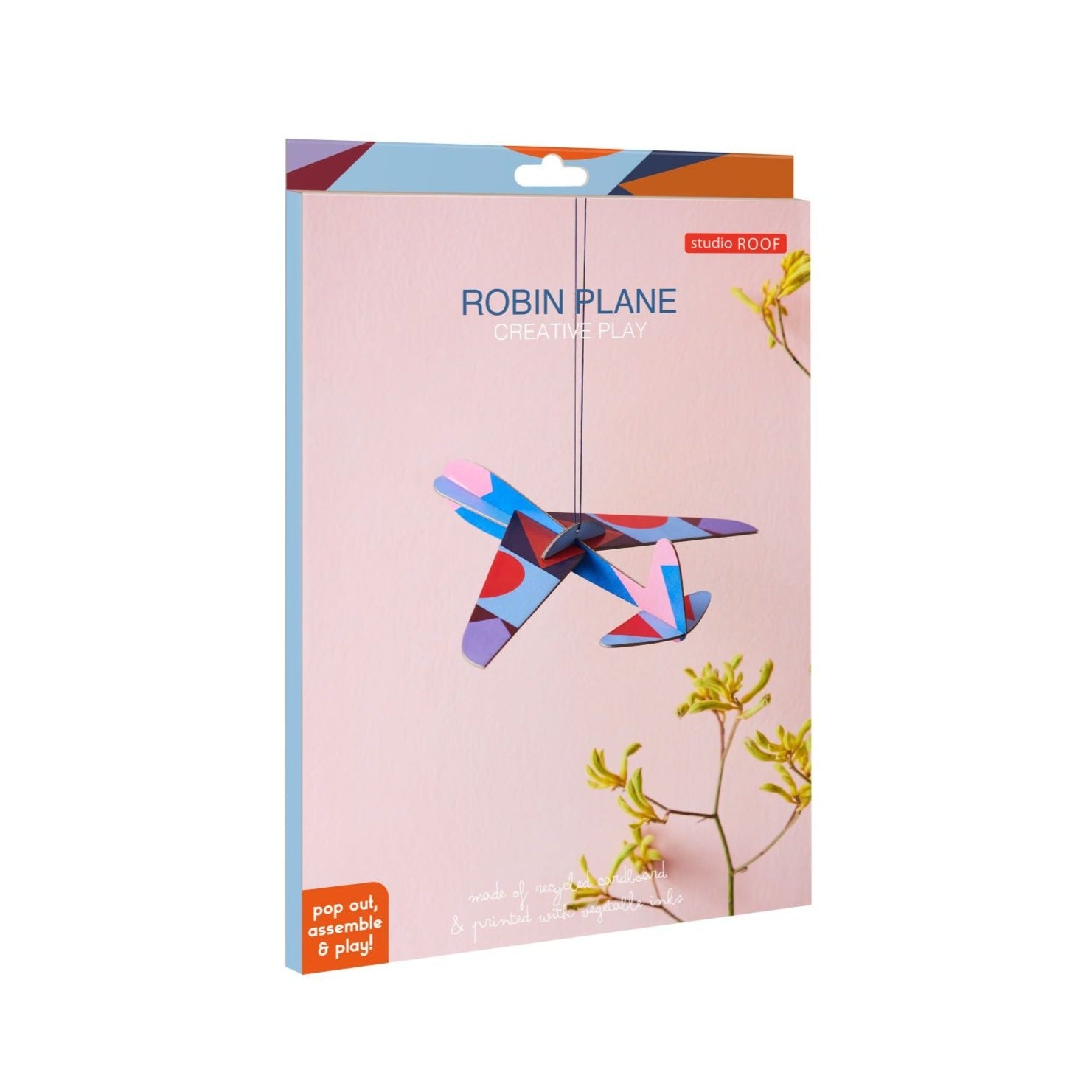B6-robin-plane.jpg